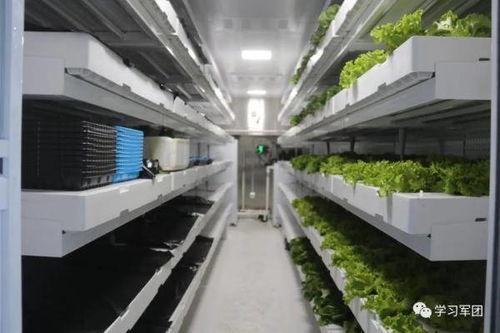 海拔4900米,有一座溫暖的 植物工廠