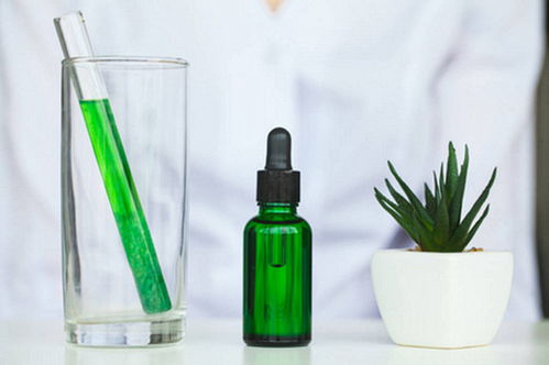 植提大師深耕B2B電商優勢，以易物新模式助力行業快速發展